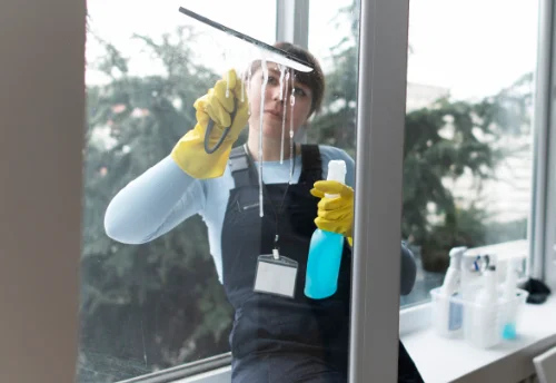 Nettoyage de vitres intérieures et extérieures à Saint-Laurent-de-Terregatte